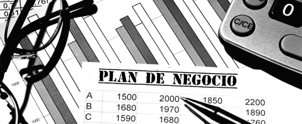 El franquiciador es quien debe desarrollar el plan de negocio 